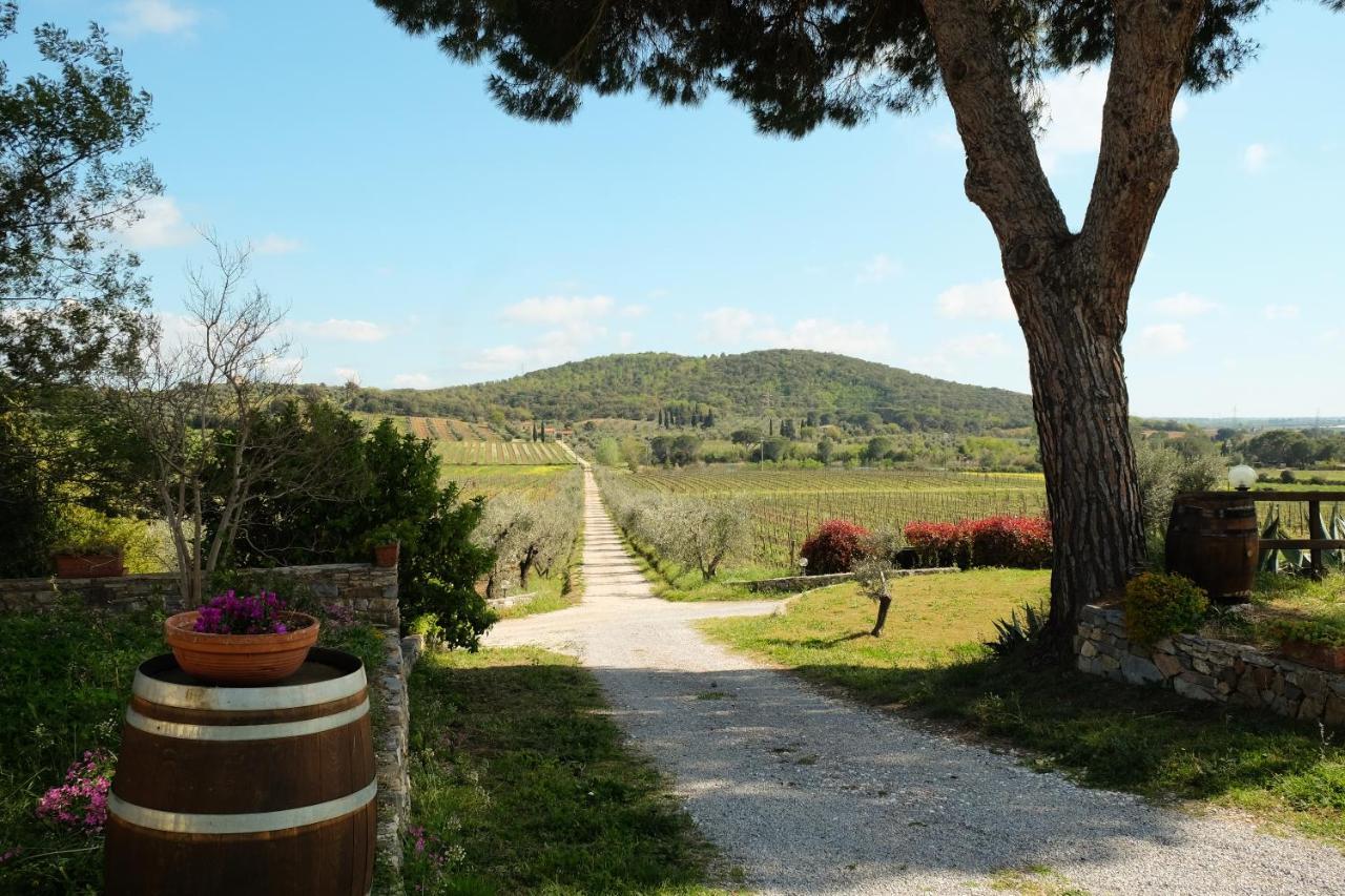 Agriturismo Biologico Bulichella سوفيريتو المظهر الخارجي الصورة
