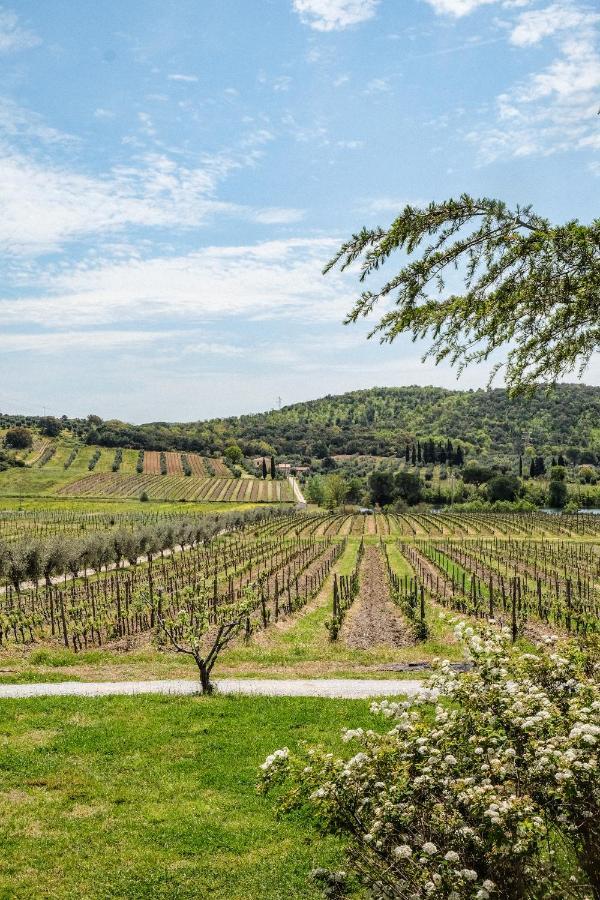 Agriturismo Biologico Bulichella سوفيريتو المظهر الخارجي الصورة