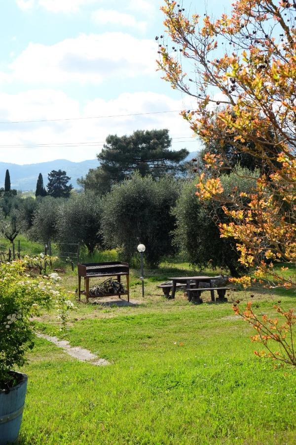 Agriturismo Biologico Bulichella سوفيريتو المظهر الخارجي الصورة